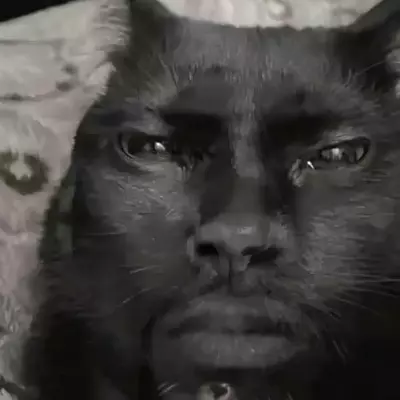 Victor