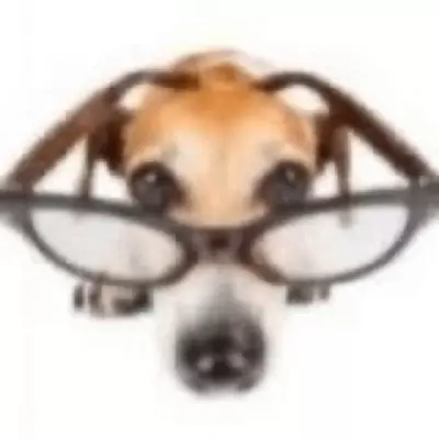 (◍•ᴗ•◍)