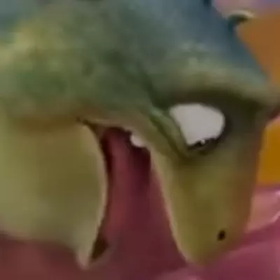 Spyro FanGirl Naty