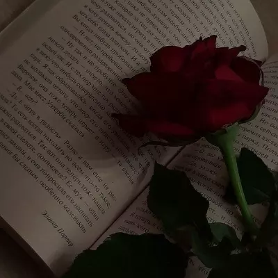 G.💋🥀