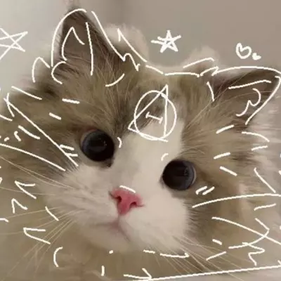 Harku 