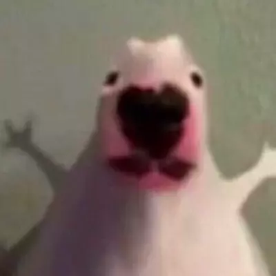 Soren