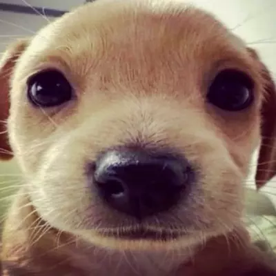 Sam