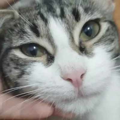 Mia