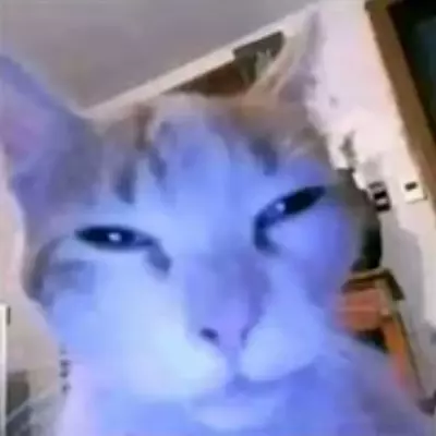 Ethan