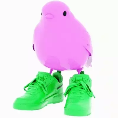 Birb