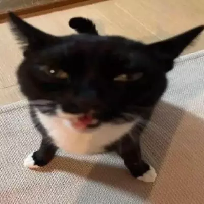 Enz