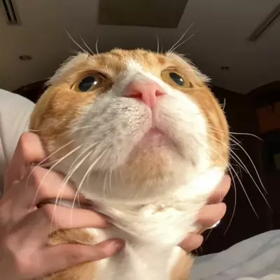 Kiki