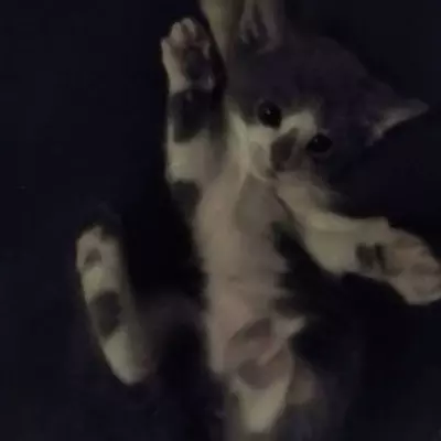 Oliver