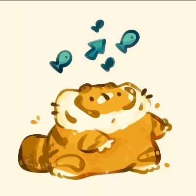 Little_orange_daisie