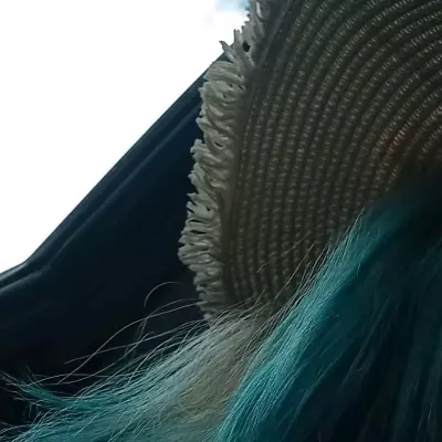 Amélia