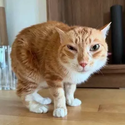 Nick