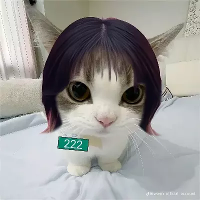 Cinemanroll 