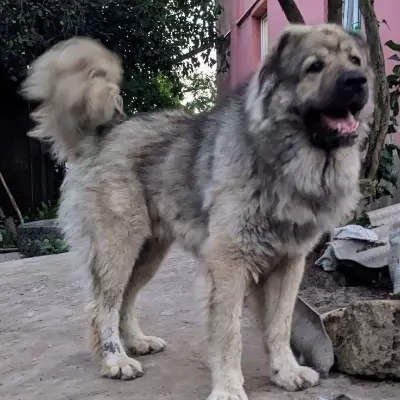 Minska