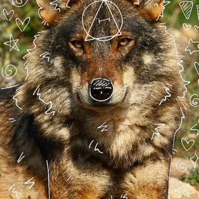 Kilo