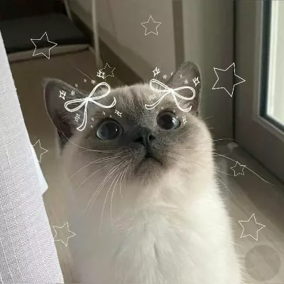 ✨ Mia ✨