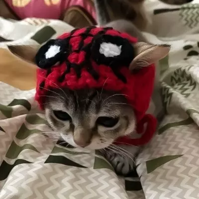 Kai 