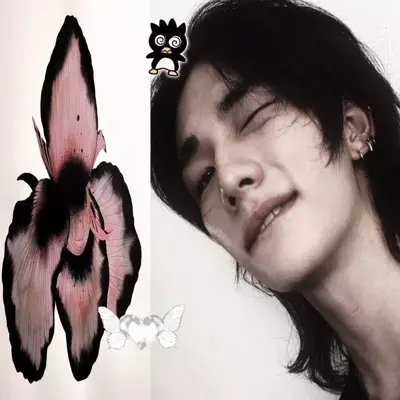 Hwang yagari