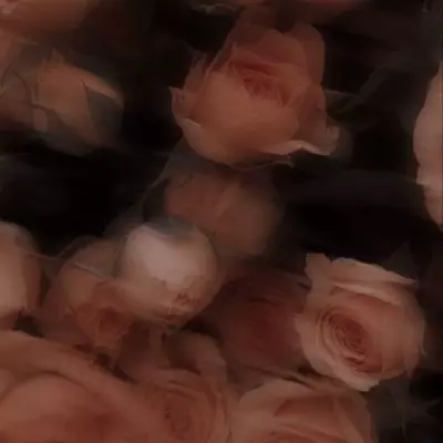 Elli