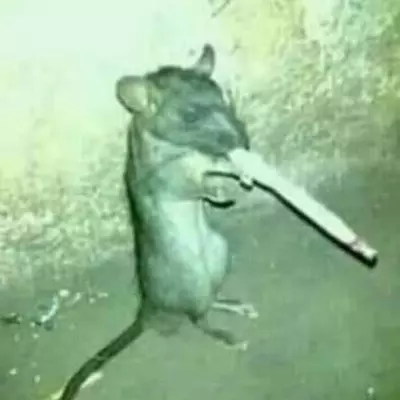 John