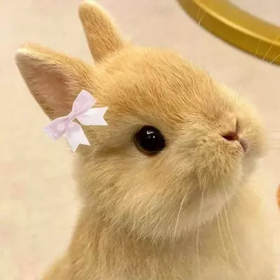 💋💘
