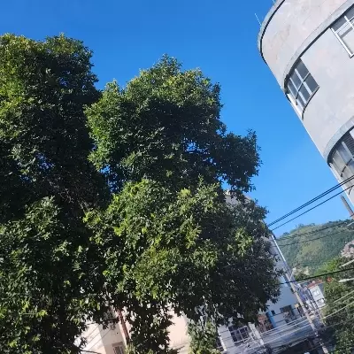 Toria_11