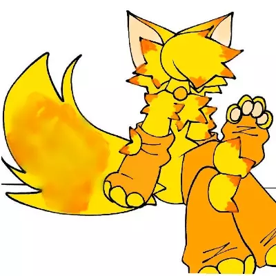 Sun cat
