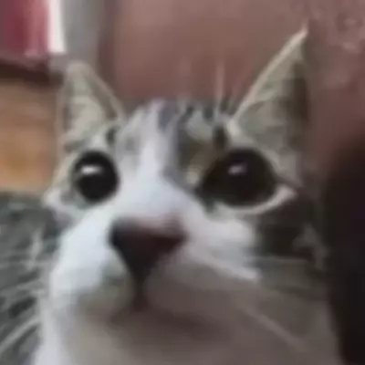 Pixelpie