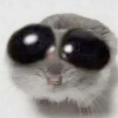 DizzyGhost