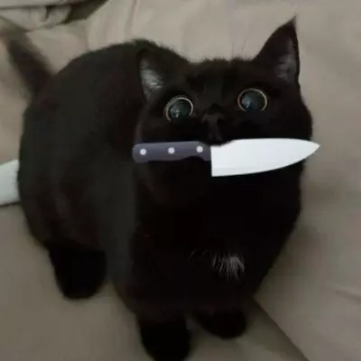Nico 