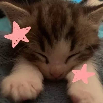 Nico