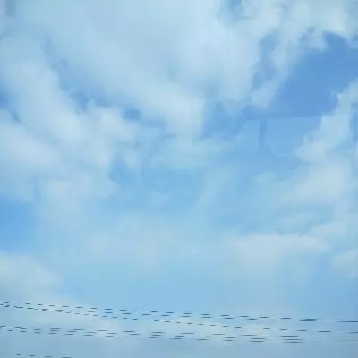 Jay