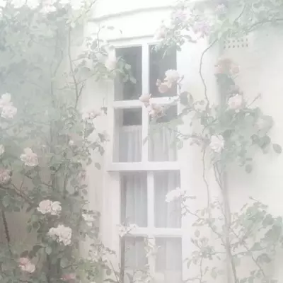 🪭💌