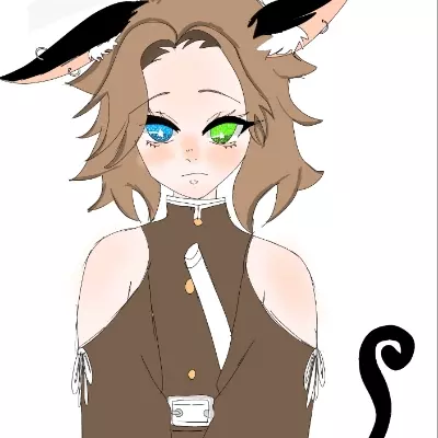 Cat Hinakomo 