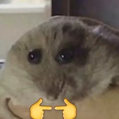 Milo