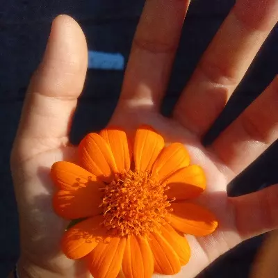 Rubí 💕