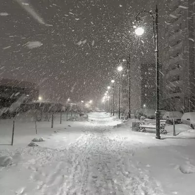 Настя 