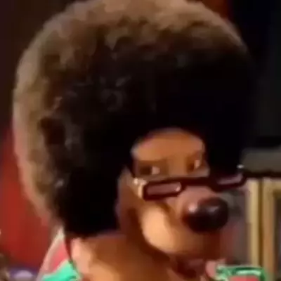 MadDune