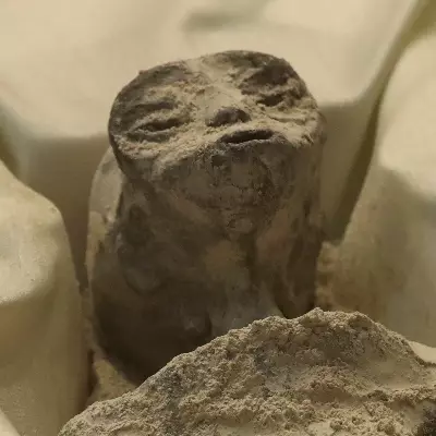 Alien Guy