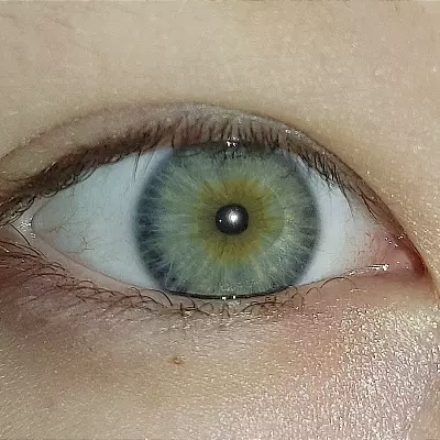 Сеня