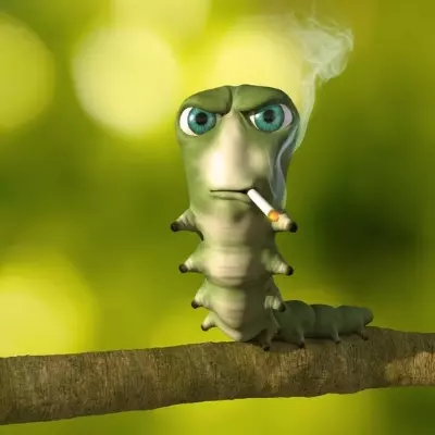 Jani