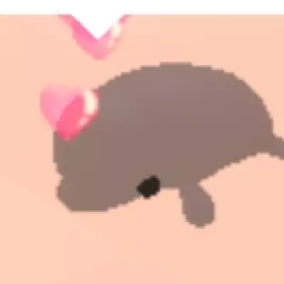 my real name