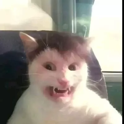 男朋友