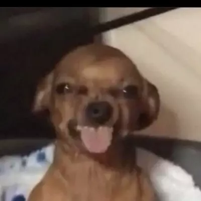 .
