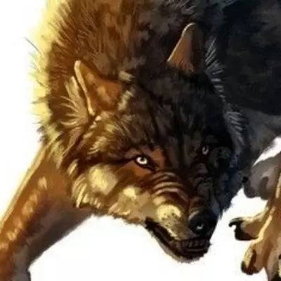Apex