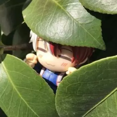 Shoto Todoroki