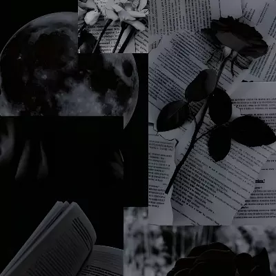 Lunaria 