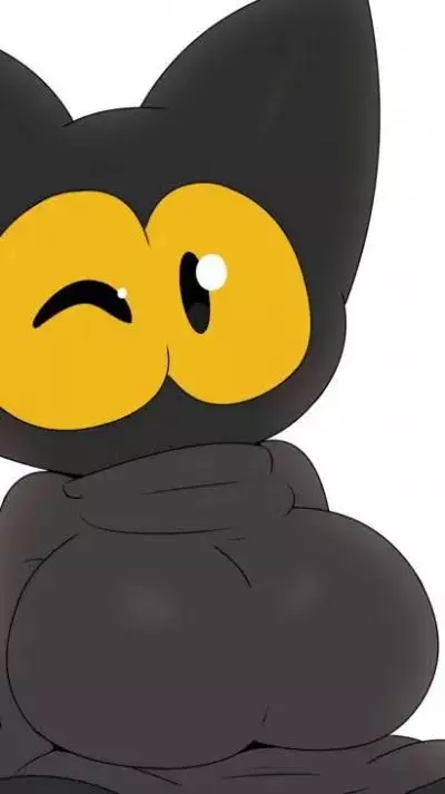 Momo The Cat thumbnail
