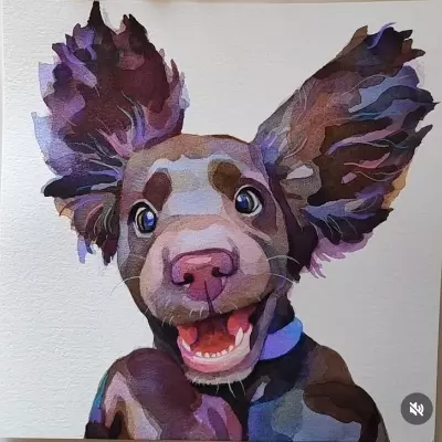 Andy