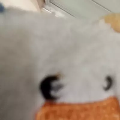 Ulberto